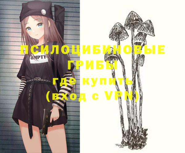 твердый Алексеевка