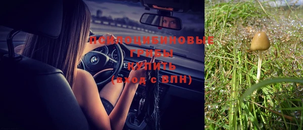 мяу мяу кристалл Алексин