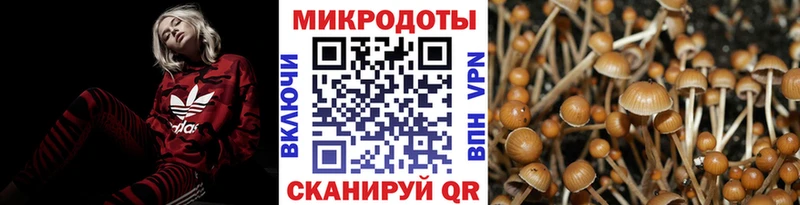 Галлюциногенные грибы Magic Shrooms  купить наркотик  Ступино 